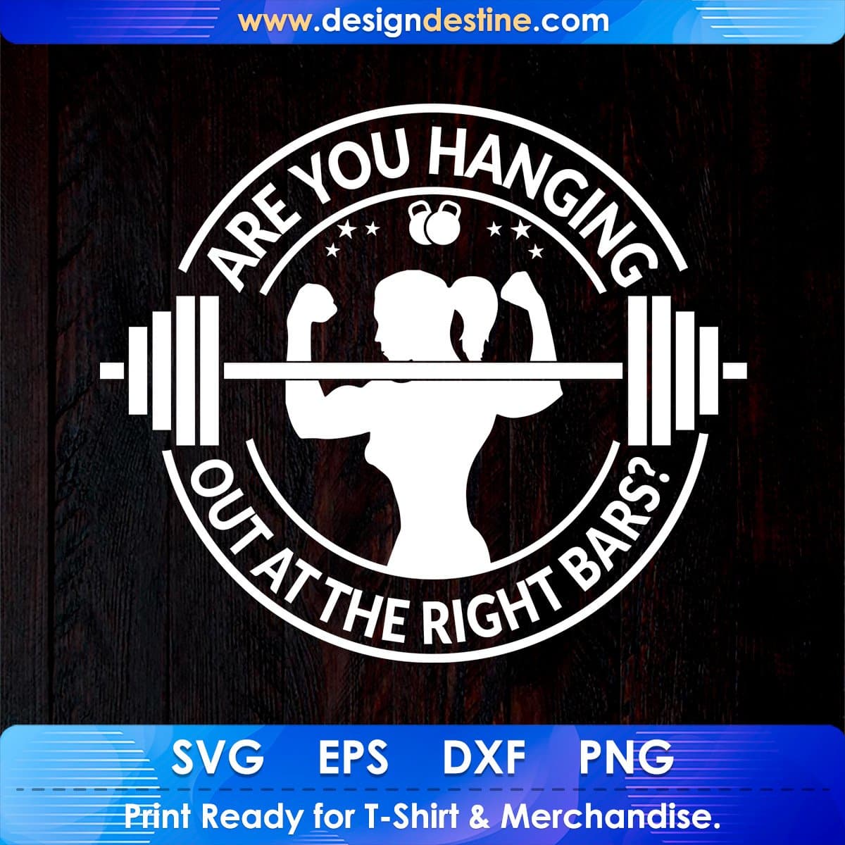 Are You Hanging Out At The Right Bars? T shirt Design In Svg Cutting Printable Files