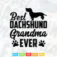 Best Dachshund Grandma Funny Wiener Dog Lover Doxie Svg Png Cut Files.