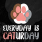 Everyday Is Caturday Cat Editable T-Shirt Design in Ai PNG SVG Cutting Printable Files