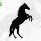 Free Wild Horse Silhouette Vector T shirt Design In Png Svg Cutting Printable Files