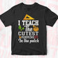 I Teach The Cutest Pumpkins In The Patch Editable T shirt Design In Ai Png Svg Cutting Printable Files