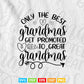 Only The Best Grandmas Get Promoted To Great Grandma Svg T shirt Design.