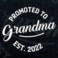 Promoted to Grandma 2022 Funny Mother's Day Vector T-shirt Design in Ai Svg Png Cutting Printable Files