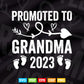 Promoted to Grandma 2023 Mother's Day Svg Png T shirt Design.