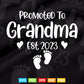 Promoted To Grandma Est 2023 Grandmother Svg Cutting T shirt Design.