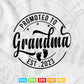 Promoted to Grandma Est 2023 Mother's Day New Grandma Mimi Svg Png Cut Files.