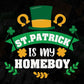 St Patrick Is My Homeboy T shirt Design In Svg Png Cutting Printable Files