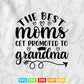 The Best Moms Get Promoted to Grandma Svg Png Cut Files.